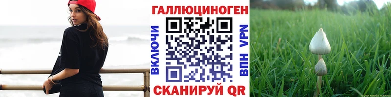 Галлюциногенные грибы Psilocybine cubensis  Олёкминск 