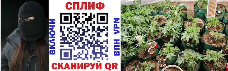 цена наркотик  Олёкминск  Бошки марихуана SATIVA & INDICA 